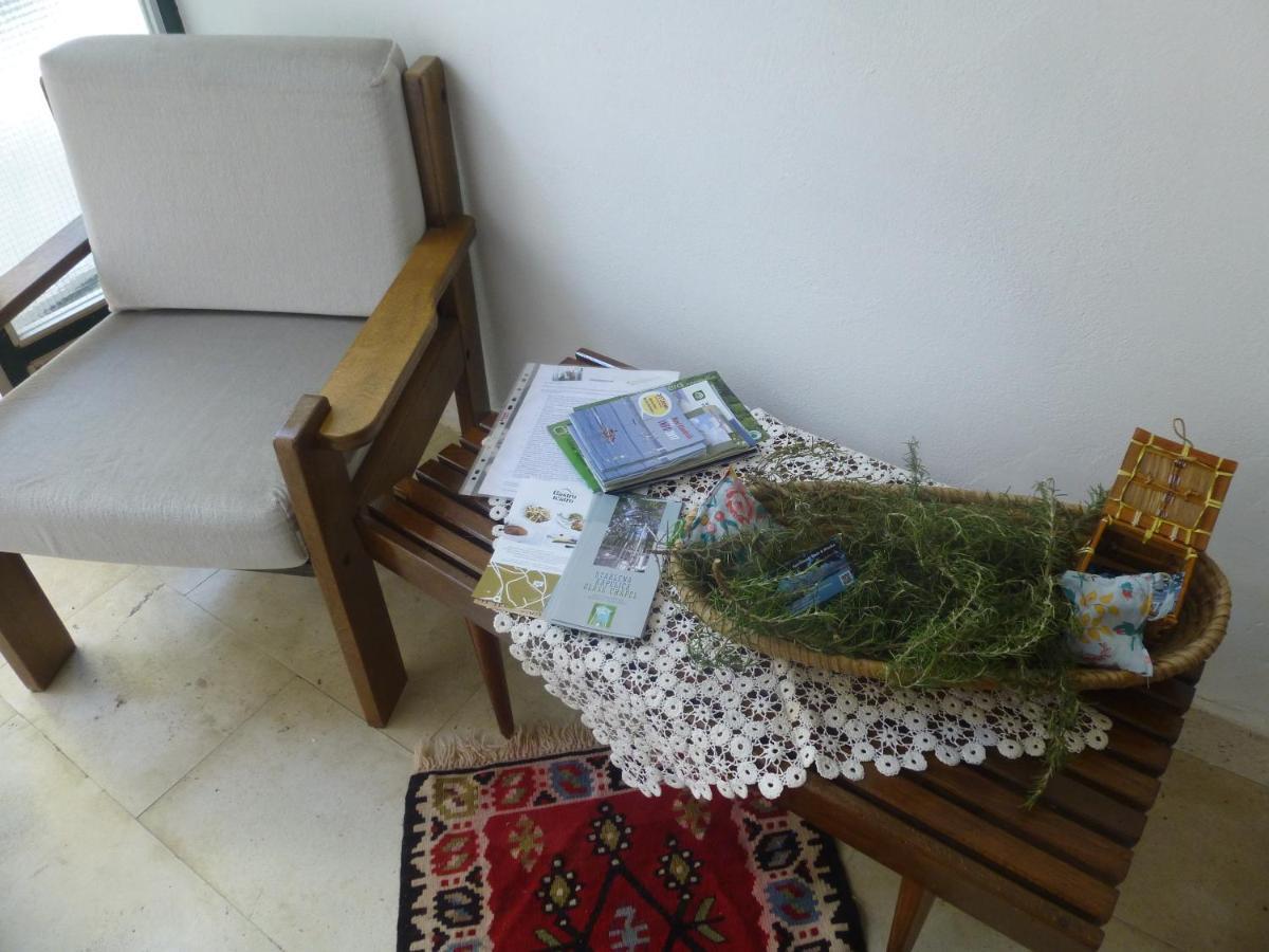 Apartment Dada نوفي فينودولسكي المظهر الخارجي الصورة